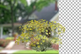 Animated Flowering tree with yellow flowers 51109919