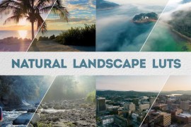 Natural Landscape LUTs | DaVinci Resolve 49768544