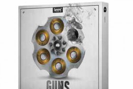 Boom Library Guns Designed WAV