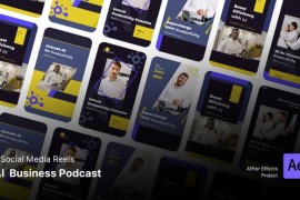 Instagram Reels - AI Business Podcast Webinar 45683784