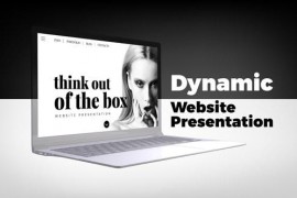 Dynamic Website Presentation 21494247