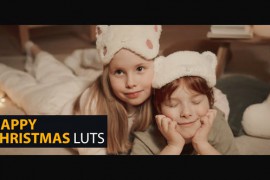 Happy Christmas LUTs 49874005