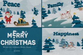 Christmas Wishes 48999613