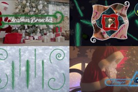 Christmas Branches And Vignettes And Titles Pack for DaVinci Resolve 42347550