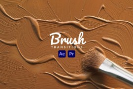 Brush Transitions 43133372