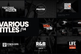 Various Titles 14 43218923