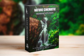 Nature Cinematic Landsacpae Moody Forest LUTs PAck 48395633