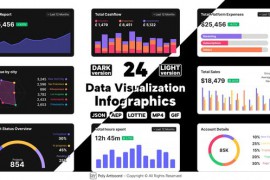 Data Visualization Lottie Infographics 50253924