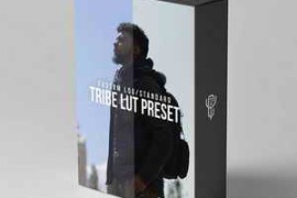 YCImaging – Tribe LUT