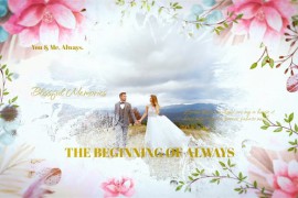 Blooming Love - Wedding Slideshow 56194679