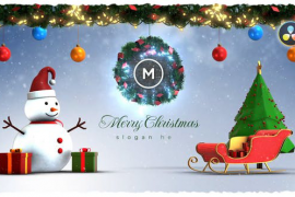 Christmas Winter Logo Reveal 49836202