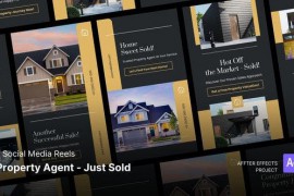 Social Media Reels - Property Agent - Just Sold After Effects Template 47648525