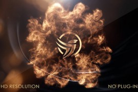 Particle Logo Reveal 43546181