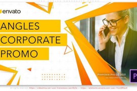 The Angles Corporate Promo 44937388