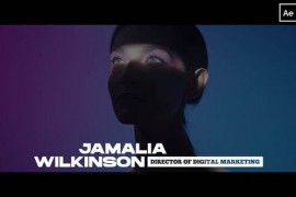 Lower Thirds | After Effects 49989219