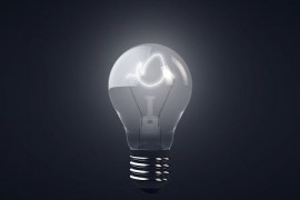 Bulb Logo Intro 16499249
