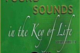 Feed Your Soul Music Found Sounds Vol. 3 Sounds in The Key of Life WAV