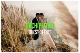 Free Download:Archipelago – Quest 01 LUTs