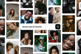 Mosaic Search Reveals - Premiere Pro 51888352