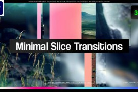 Minimal Slice Transitions 49980787