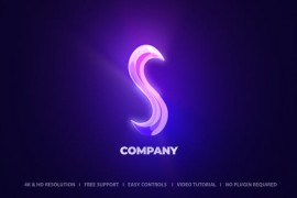 Logo Reveal 51740142