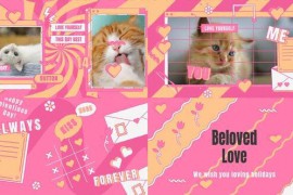 Trendy Valentine's Day Intro 49849704