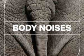 Blastwave FX Body Noises WAV-FANTASTiC