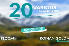 20 Various Lower Thirds 15952425