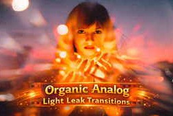 Free Download:Organic Analog Light Leak Transitions 63606378