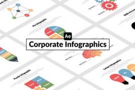 Corporate Infographics 51665763