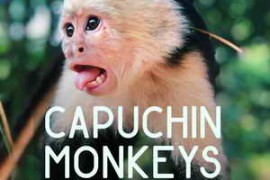 Pro Sound Effects Wildlife Collection Capuchin Monkeys WAV-FANTASTiC