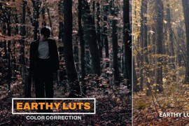 LUTs Earthy 43400280