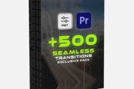 500+ Seamless Transitions Pack +1500 SFX + 46 LUTs