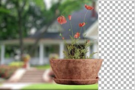 Animated Flowering tree with orange flowers 51109912