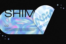 Minimal Holographic Typo 43421315