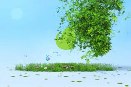 Nature Logo Reveal 45329596