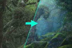 Udemy – 4 Seasons In The Dark Forest – Landscape Photography Editing