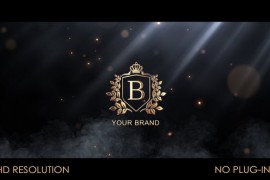 Particle Flow Logo Reveal 52029847