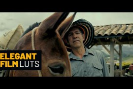 Elegant Film Color LUTs 49487825