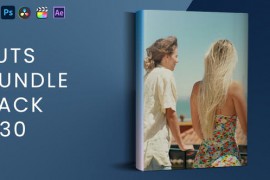 LUTs Bundle Pack V30 45394163