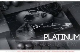 Platinum Digital Slideshow 45793780