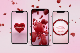 Valentines Day Stories Pack 50270660