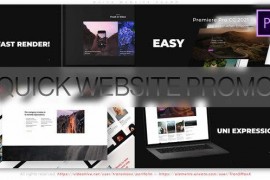 Quick Website Promo 42540434