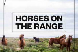 Blastwave FX Horses on the Range WAV-FANTASTiC