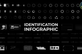 Identification HUD Infographic for DaVinci Resolve 52038000