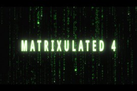 Matrixulated 4 43181308