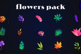 Colorful Flowers Pack for Premiere Pro 51999731