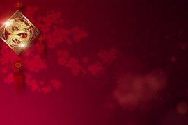 Chinese New Year Background Decoration 48612576