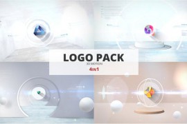 Logo Reveal 51706422