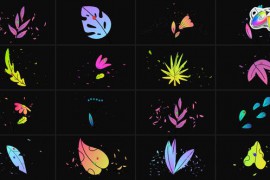 Flowers Pack for FCPX 48887747